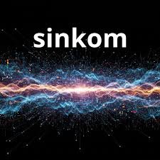Sinkom: A Detailed Exploration of a Modern Concept Shaping Communication, Systems, and Digital Growth sinkom