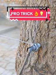 usefullideas.net: Unlocking Innovative Solutions for Everyday Life usefullideas.net/