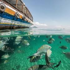 Veneajelu: A Comprehensive Exploration of Concept, Meaning, Applications, and Relevance in Contemporary Society veneajelu