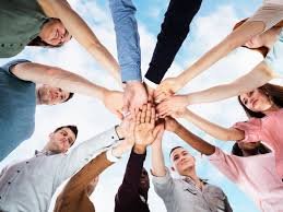 Lufanest: Comprehensive Understanding, Applications, and Future Potential lufanest